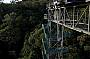Biggest Day Out package - Unlimited Bungy Jumps, Minjin Swing, Lunch, Jump Shirt, Minjin Photos, Certificate
