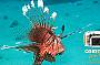 Cairns Digital - four days underwater camera rental - FREE memory upgrade