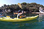 Manly kayaking