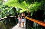 S1 - Skyrail/Kuranda/Train 