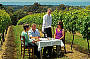  Red Hill Wine Tours