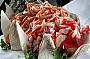 Sydney Harbour Cruise CHRISTMAS DAY Seafood Buffet Lunch inc Drinks Dec 25th 