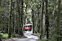 Winding Rainforest Roads