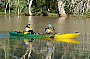 Kayak Tour