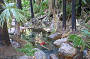 5 Day Gibb River Road Adventure Departs May - Oct