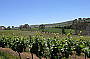 Riesling Country 