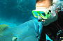 4 Day PADI Open Water Course/ Day Reef trips