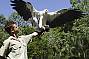 Iconic Australia - Cairns Tropical Zoo + Tjapukai admission Ex Cairns/Beaches
