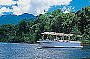 Daintree River Cruise