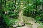 Stunning rainforests!