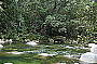 DAINTREE EXPLORER DAY TOUR