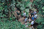 Daintree Discovery Centre