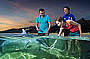 Tangalooma Dolphin Adventure Tour including Whale Watch Cruise