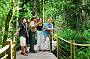 One Way Skyrail Rainforest Cableway Experience [from Skyrail's Caravonica Terminal]