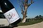 WINERY