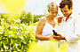 Yarra Valley Wine Tours