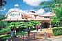 Skyrail and Kuranda Scenic Railway - with return transfers from Cairns