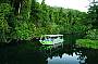 Cruising the Daintree