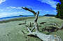 Thorntons Beach