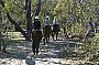 Horse riding through amazing bushland.