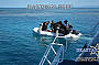 Standard Cruise incl. 2 Certified Dives Guided