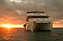 2 Day Dive Trip - MV Kangaroo Explorer (qualified divers only)