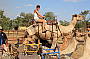 Ride a Camel