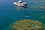 Reef Experience