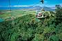 One Way Skyrail Rainforest Cableway Experience [from Skyrail's Caravonica Terminal]
