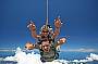 9'000ft Skydive 