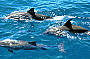 Stradbroke Island - Day in Paradise