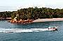 Darwin Crocodiles, Reptiles & Sights Tour with Indigenous Sunset Dreaming Cruise - DDTSC