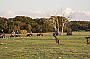 Dusk Kangaroo Tour - Rider