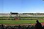 Flemington Racecourse