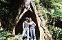 A tour