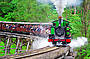 Ride on Australia's Premiere Steam Railway