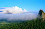 Australia ZOO & Sunshine Coast Hinterland Tour from Brisbane