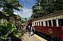 Train/Skyrail Tjapukai- Aboriginal cultural park