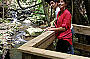 Rainforest hideaways