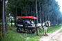 Passing Pine Forest & Olive Groves