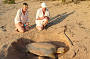 flatback turtles nest between April-October every year