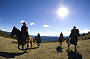 1 DAY HORSE RIDING - Winery Ride