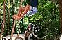 Monkey Man-Fraser Island Rainforest