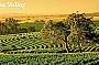 BAROSSA VALLEY DAY TOUR