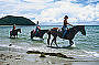 Cape Trib Horse Rides ( Afternoon )
