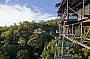 Bungy Jump Swan Dive