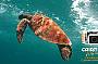 Cairns Digital - four days underwater camera rental - FREE memory upgrade