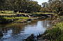 Enjoy the beauty of the Moore River!