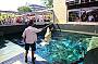 Darwin Crocodiles, Reptiles & Sights Tour - DDTS