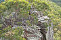 Ruined Castle Hike, Blue Mountains
